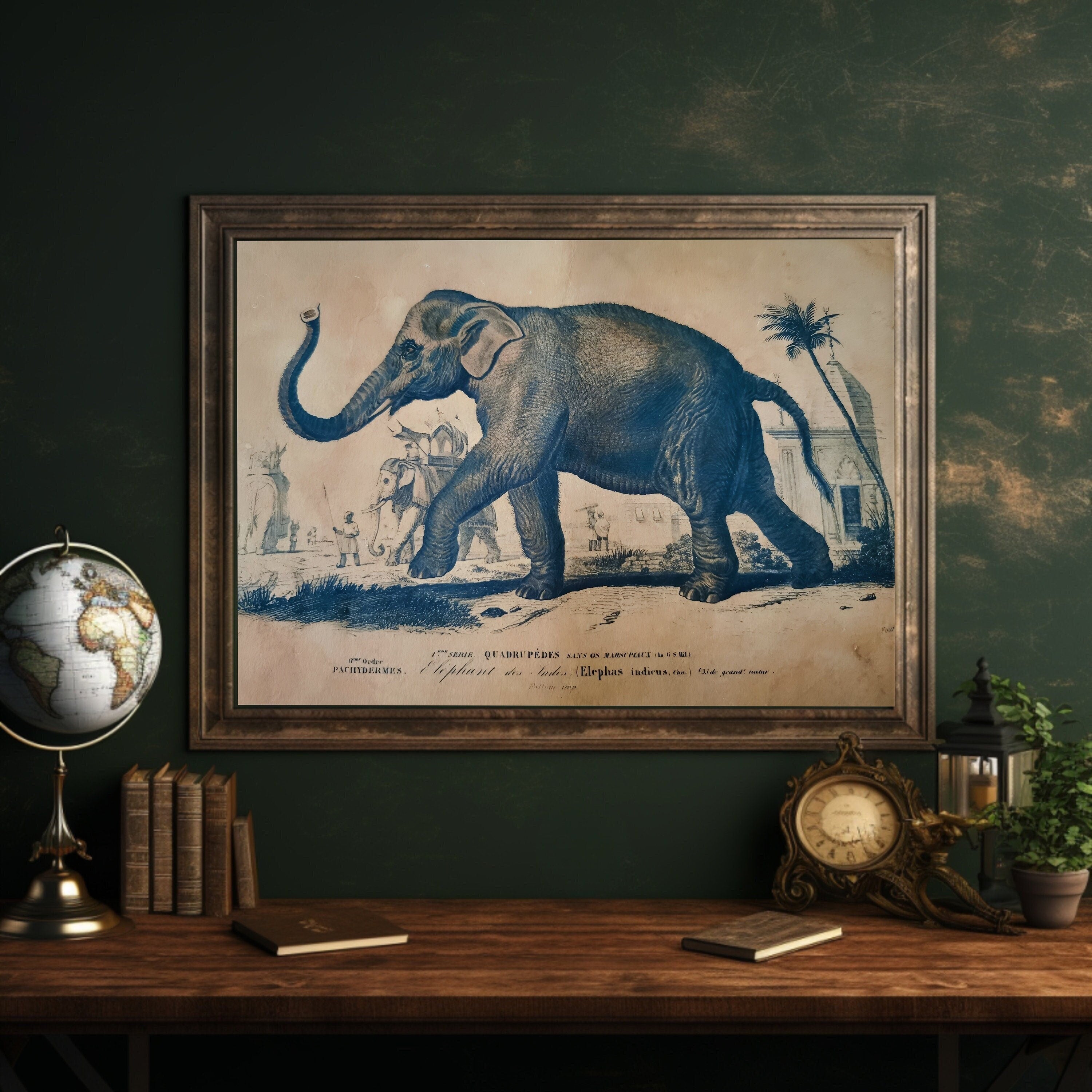 Reproduction d'affiche Elephant, Dictionnaire Universel d'Histoire Naturelle 1892