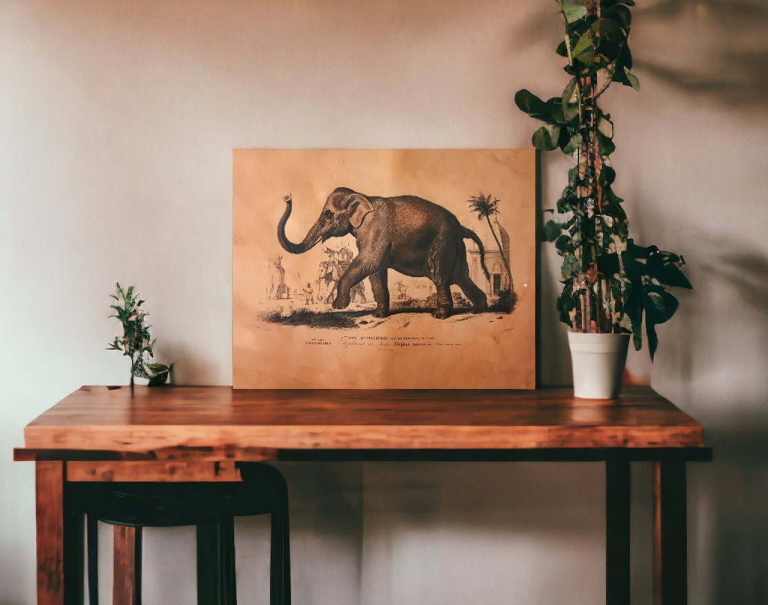 Reproduction d'affiche Elephant, Dictionnaire Universel d'Histoire Naturelle 1892